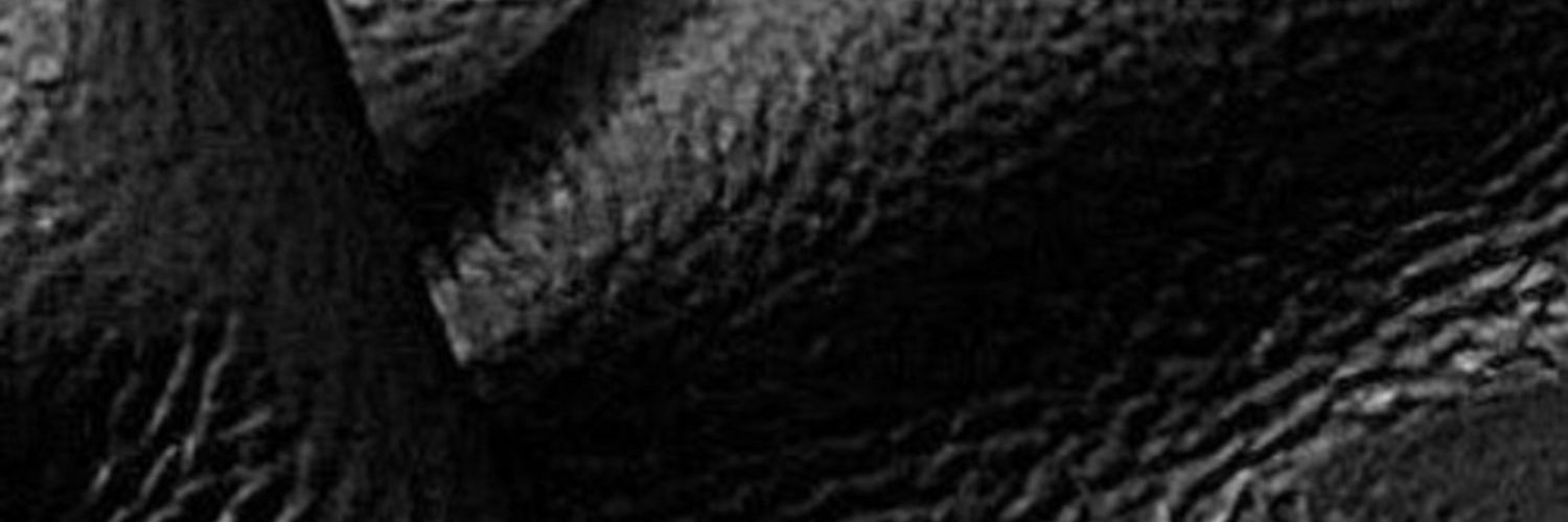 Leatherpup banner