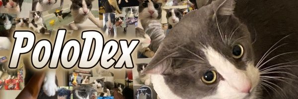 PoloDexBot's profile banner image
