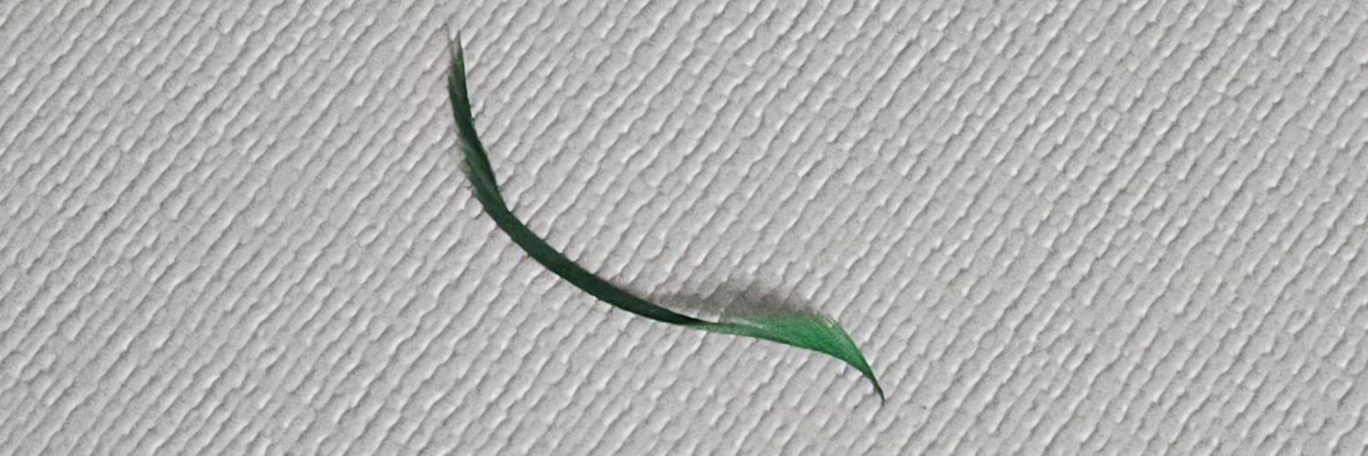 chal_ricecake_'s profile banner image