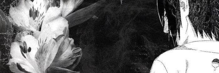 bibiruleibebw's profile banner image