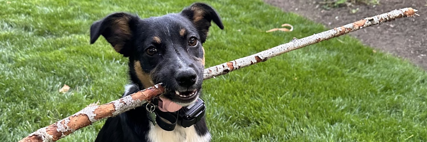 Neal Karlinsky banner