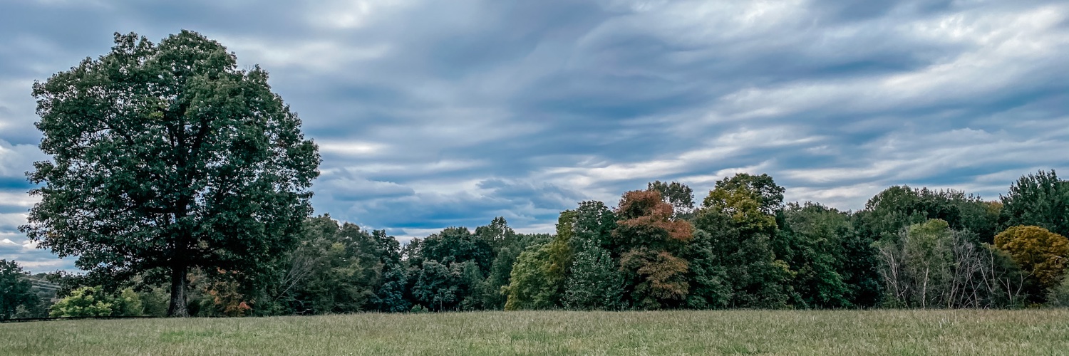 stace2286's profile banner image