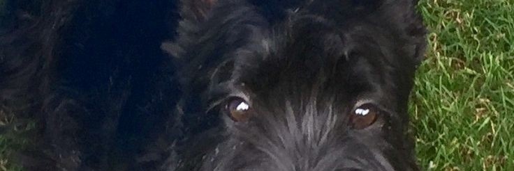 Jennifer Aniston banner