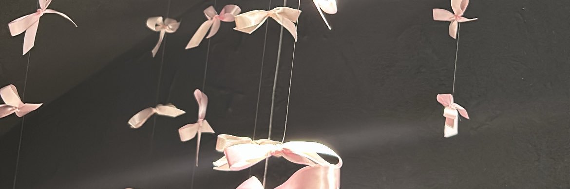 🎀⟡.·* banner