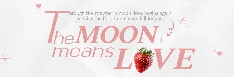 The moon means love banner