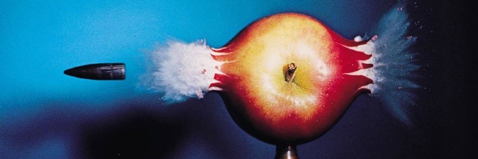 Sammy Andrews banner