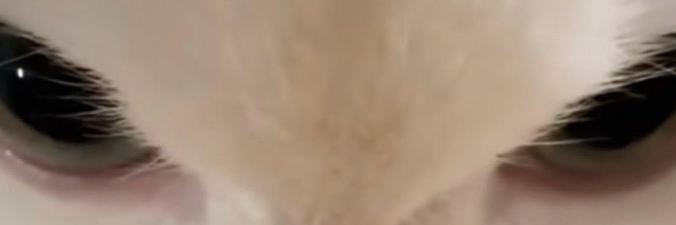 jaemdyddod's profile banner image