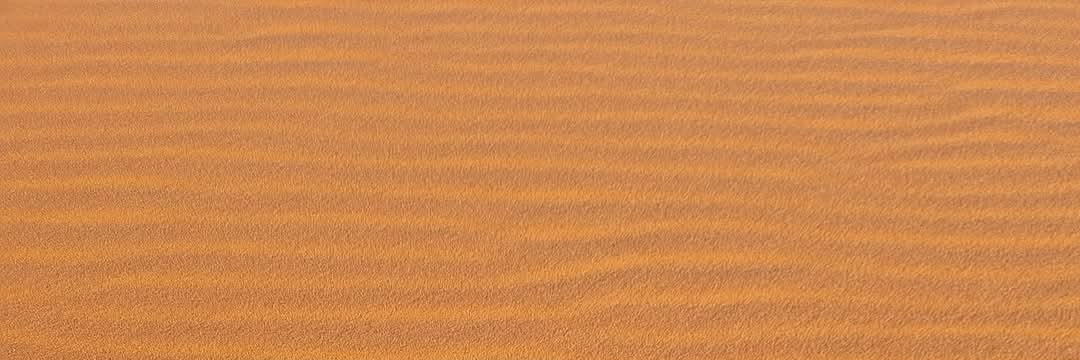 sfjcody's profile banner image