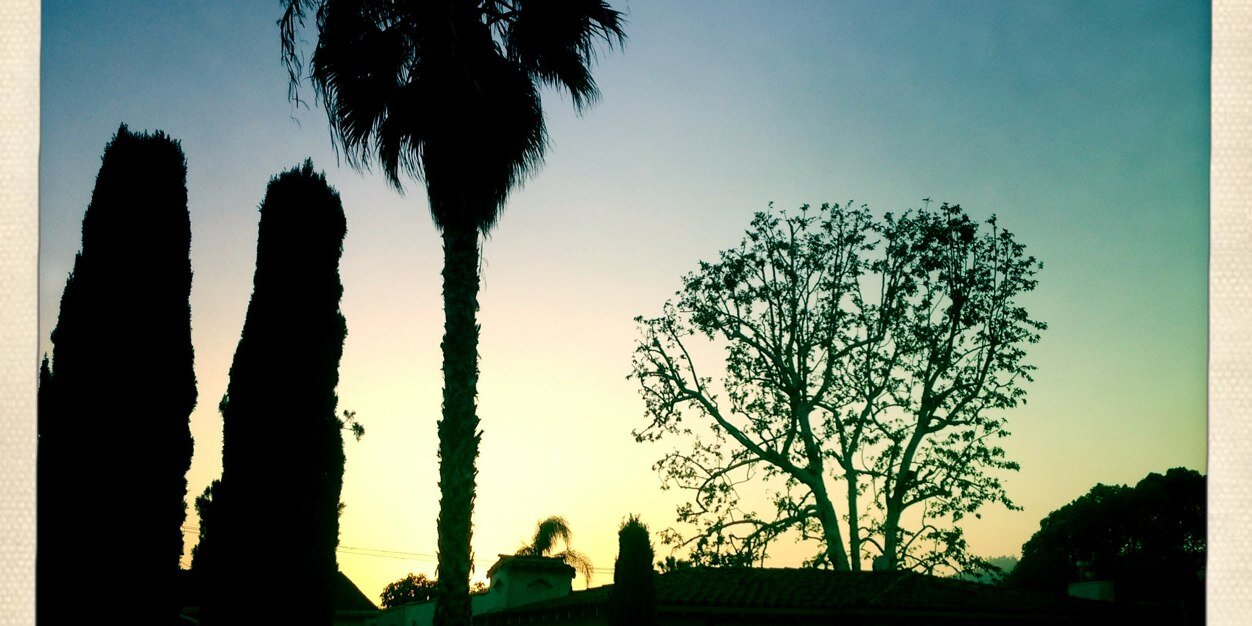 Bernard Curry banner