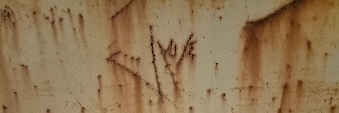 عمر القحطاني🇮🇶(ركن المعرفة) banner