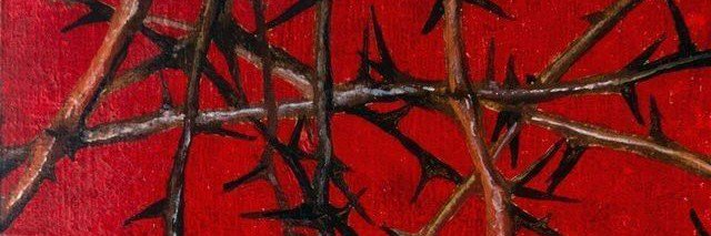 crassodonn's profile banner image