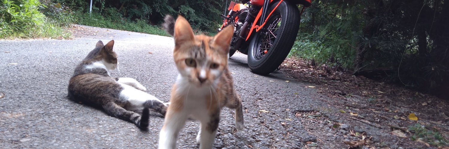 Lumpenproletariat banner