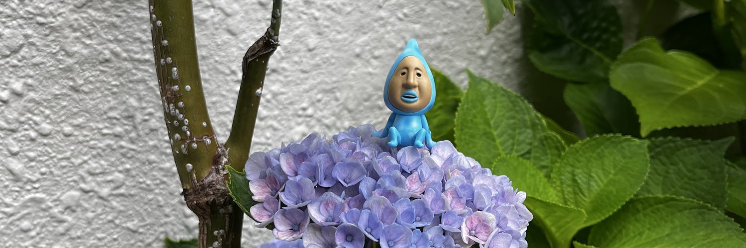 gagachahca's profile banner image