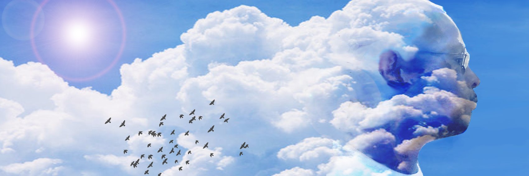 leon_morton's profile banner image