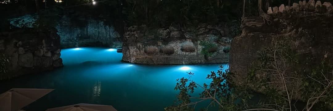 Alejandra🦋 banner