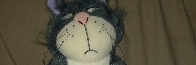 Caterina banner
