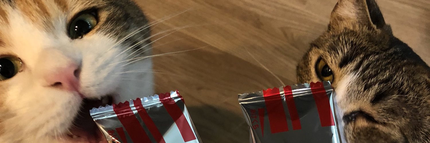 精花 banner