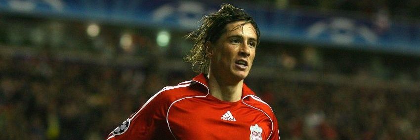 Fernando Torres banner