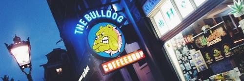 Mateus banner