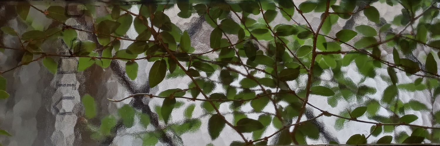 EluCentee's profile banner image