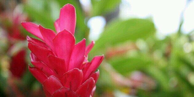 MrsForero's profile banner image