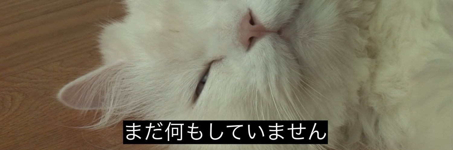 : ꒱ banner