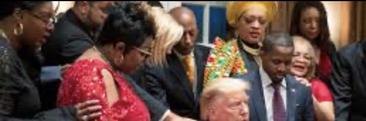 Observationist2 banner