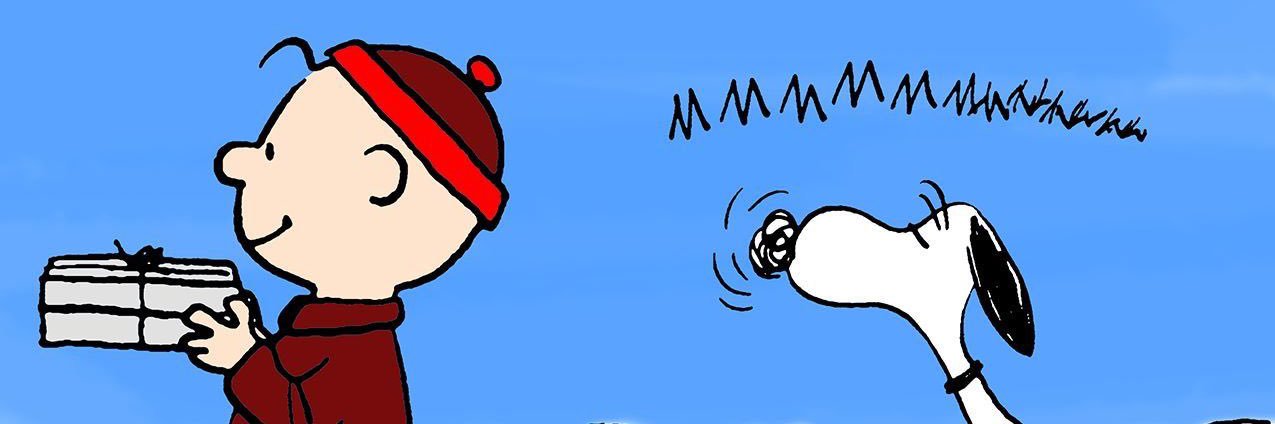 Tammy Dooley🐾 banner