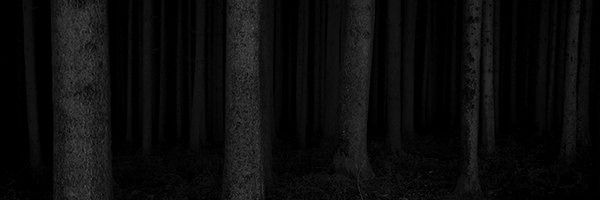 lorefies's profile banner image