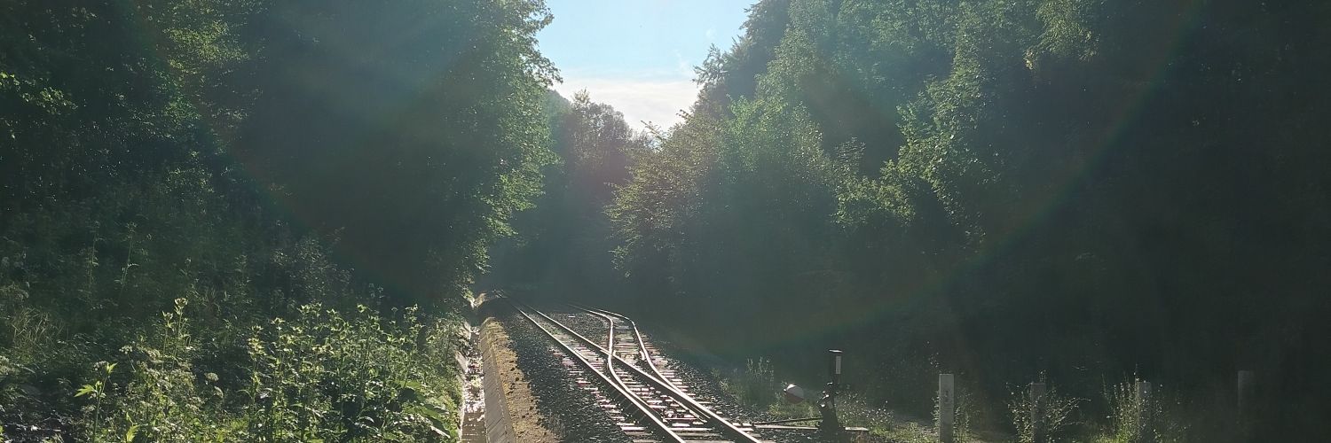 pecek66's profile banner image