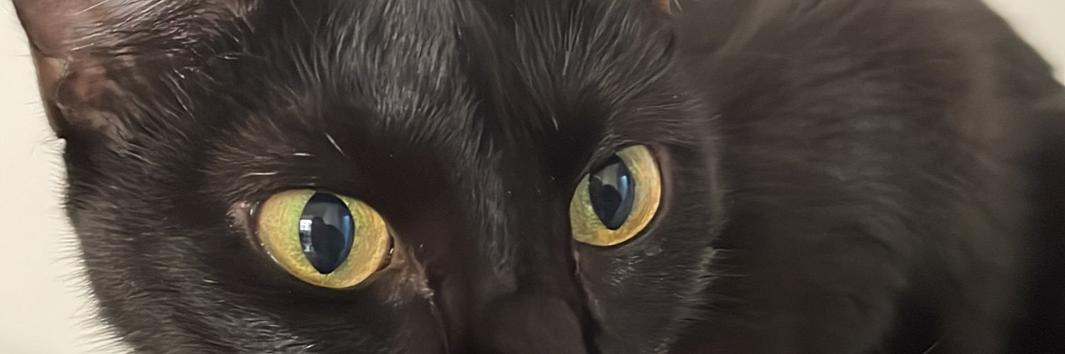 rangellarissa's profile banner image