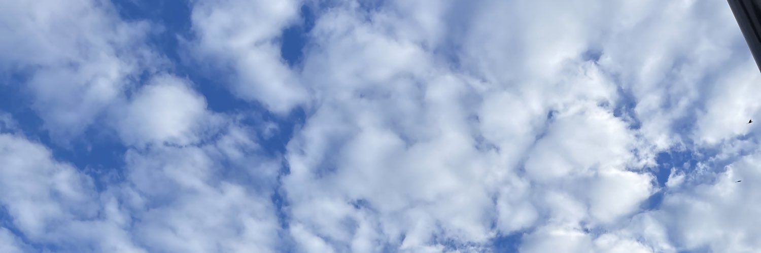 voguekarla's profile banner image