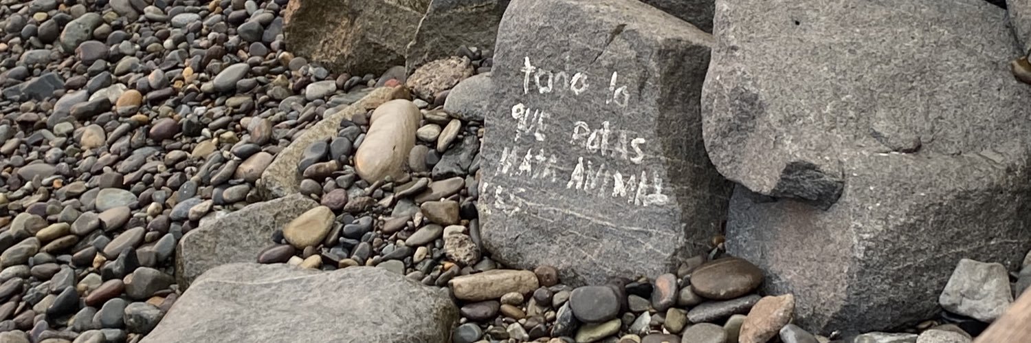 Anyvkm0's profile banner image