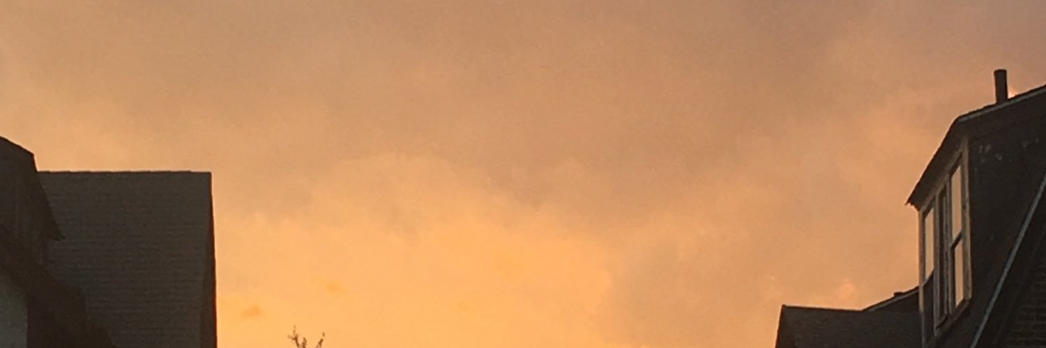 ivyxeel's profile banner image