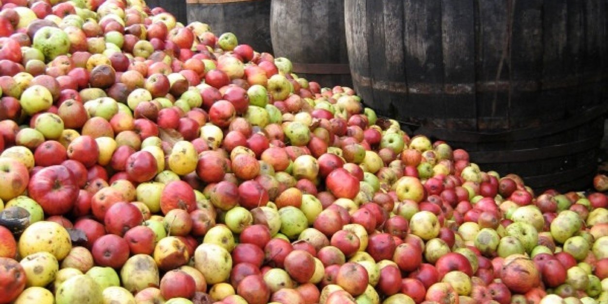 Jim @ Real Cider banner