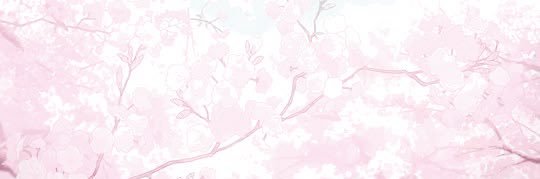 ckiwa_7's profile banner image