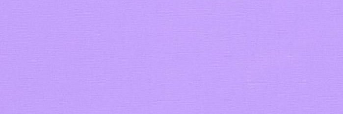 Pengaduan Basemole banner