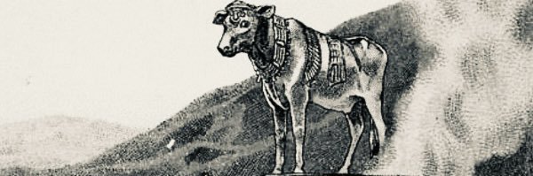 Jon banner