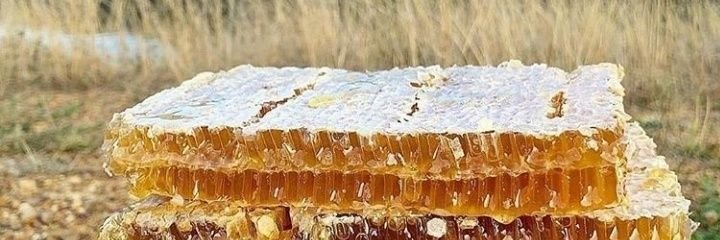 Engin Naser BSc banner