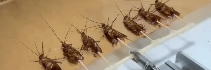 CapitalistSavior67 banner