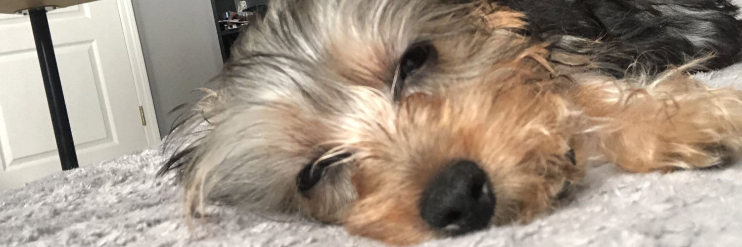 AlzenB's profile banner image