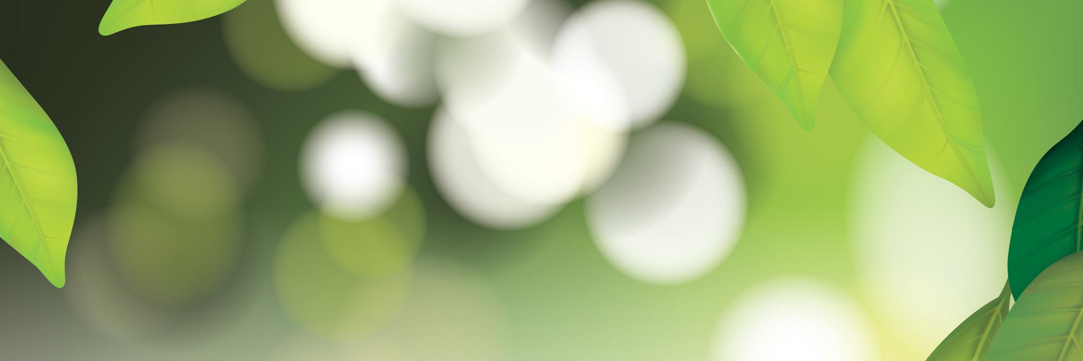 ilo5a's profile banner image