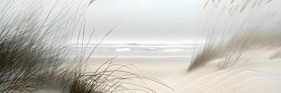 biskuiute's profile banner image
