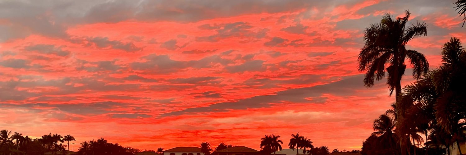 shadybeachh's profile banner image