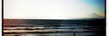 brasilsick's profile banner image