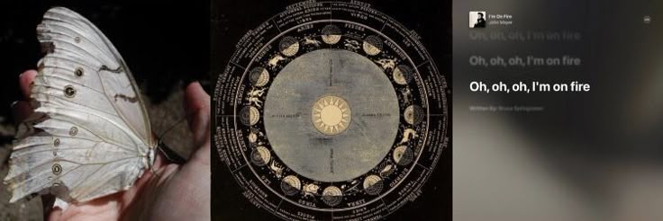 bernish banner