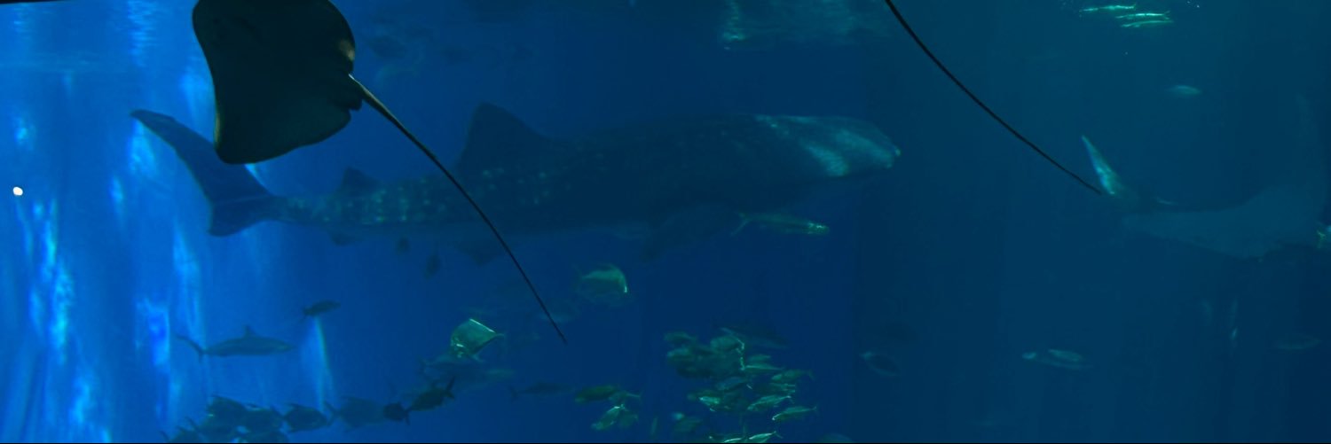 KuRi_0009's profile banner image