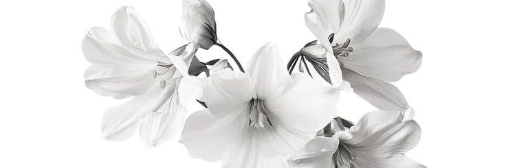 ★✞𝙍𝙚𝙞𝙯✞★ banner