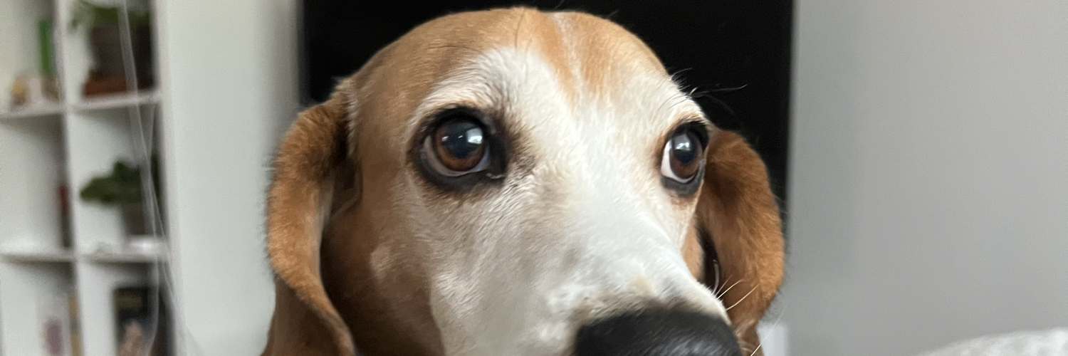 Gabreho's profile banner image