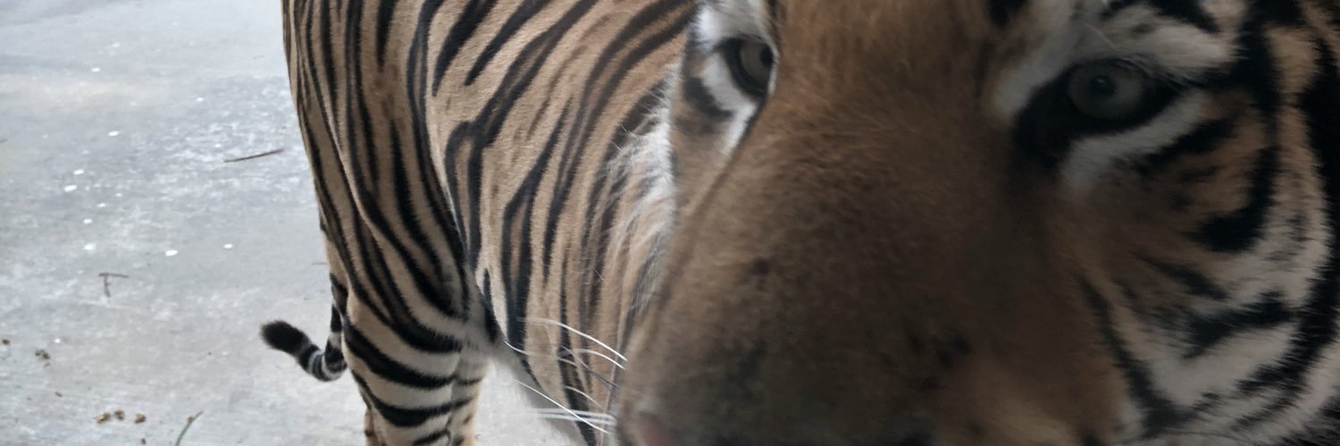 Ginger Guttner banner